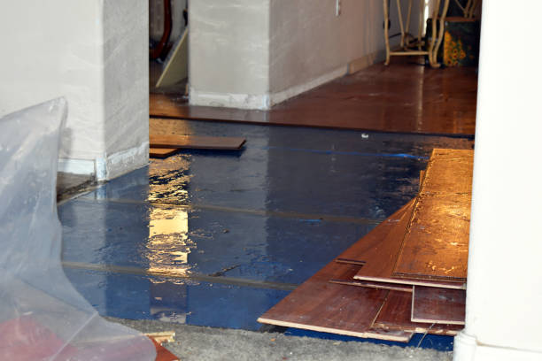 Professional Sewage Cleanup technician working in Rudolph, WI